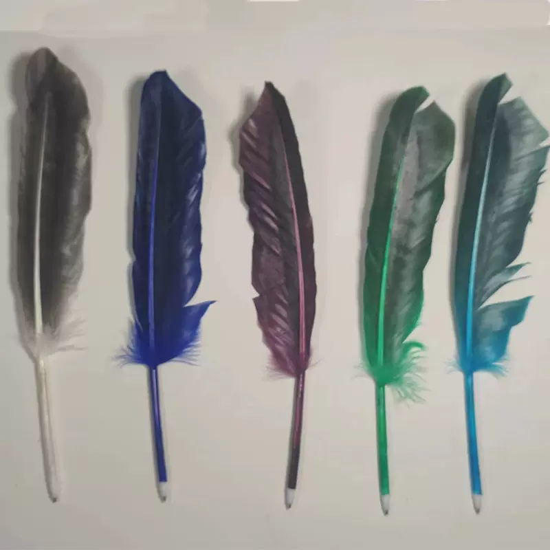 灰刀翎羽毛彩色羽毛笔鹅毛笔圆珠笔欧式复古哈利波特礼品签字笔