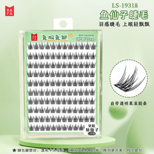 �������z�ٽ�ë�������~���ӿ�ȸ�~�p�����δ���ճ��Ȼ�����۽�ë