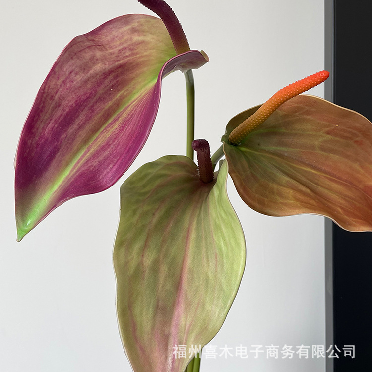 photo-output_4.JPG