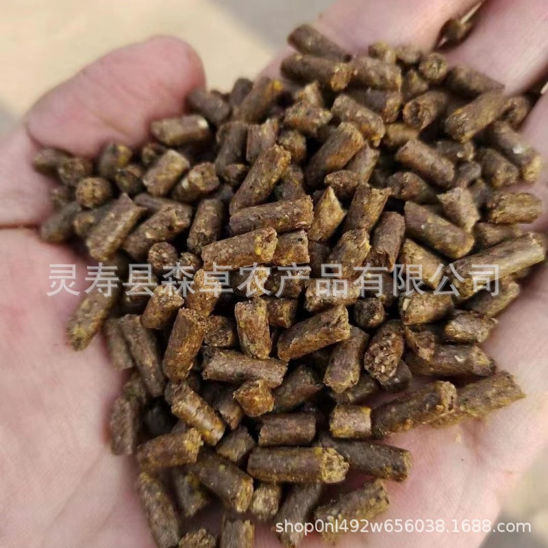 81e5e71811dcc58bba97916e537640