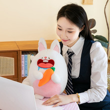 �羳�¿�؝��ϵ���}�����ӱ��~С؈�ɐ�ë�q��߹��д�����ż�Y��