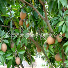 ����Խ�����Ĺ���������ļ�ܛ֦�ϱ����޽����Ĺ����Ե������Ĺ�