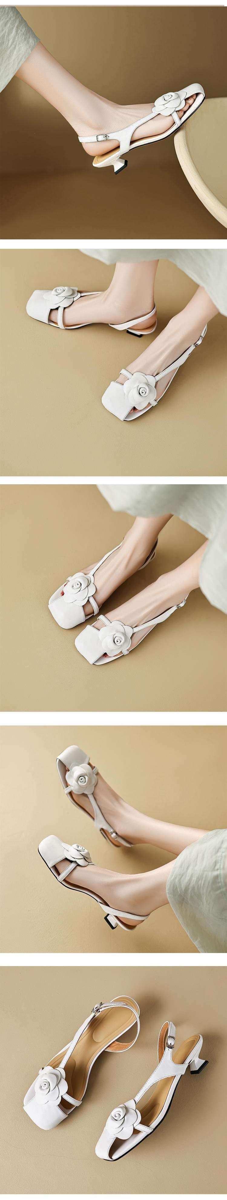 af703559-45eb-41fa-a973-776fa371c2f9.jpe