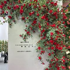 造花の花の芸のシミュレーションの花の藤のつるのシミュレーションのバラの花の壁の背景の壁は装飾ネットの赤いカードを配置して写真を撮ります。