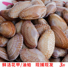 ʮ��𒸣���}�Ϯ����ڲ���ؐ��������͸��_�Ļ����r��ˮ�a�V�|��