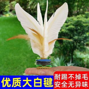 �ߏ���ӳ��˱�ِ���릸���׼��،W���w���\�Ӱ�ɫ��ë