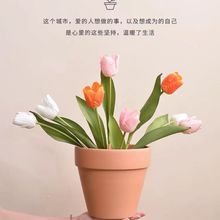 红陶花盆红陶盆吸水透气粗陶红陶土绿萝泥瓦简约陶瓷大号阳台花盆