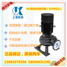上海凱泉泵業WL立式排污泵 管道污水提升設備 排污裝置 正品直發