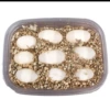 4 fertilized swamp turtle eggs