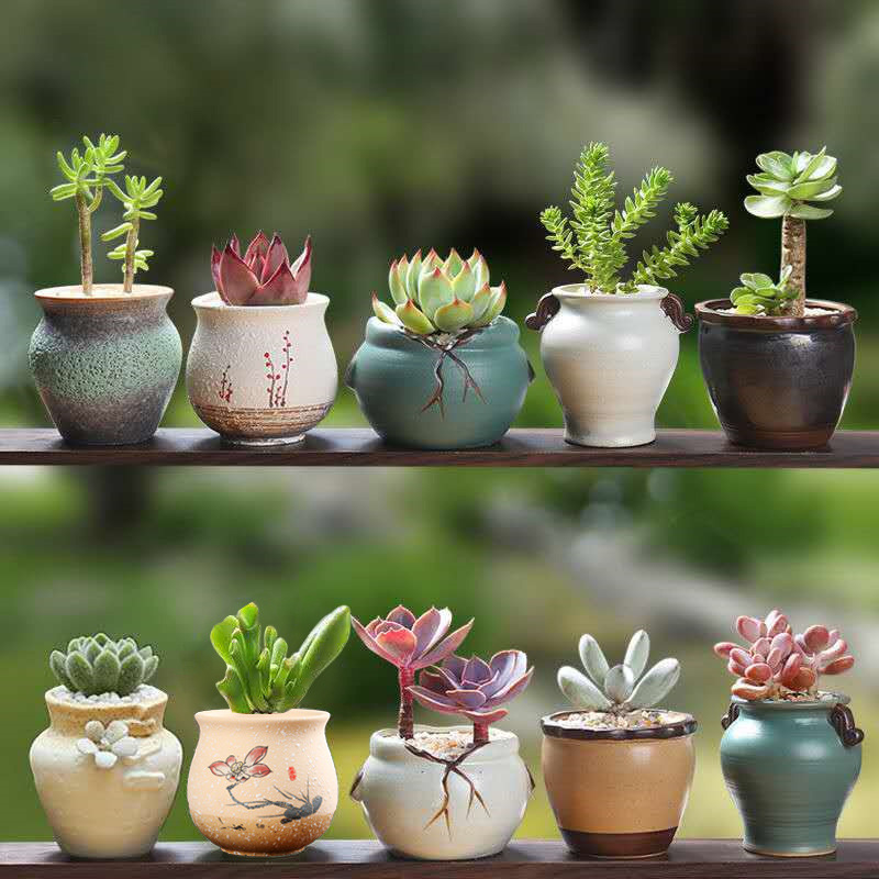 Succulent flower pot ceramic succulent plant rough pottery跨