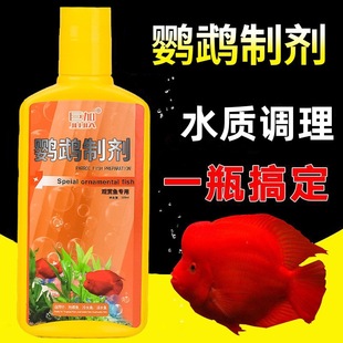 �޼��W�^�Ƅ��^�p�~�t�W�^�~��ë���c�ڼ�����ˮù���lؔ�~�Ꭷ�~