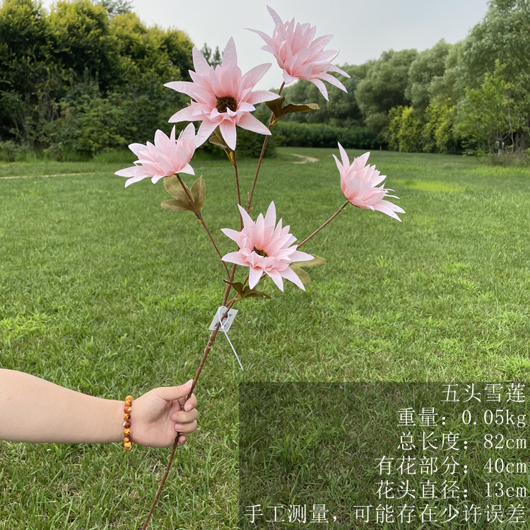 mmexport1628927331957_副本