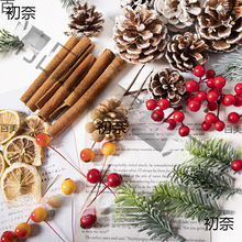 �}�Q���b�����Ȼ�ɹ��ɻ��{����ɫ����}�Q��DIY��������֦