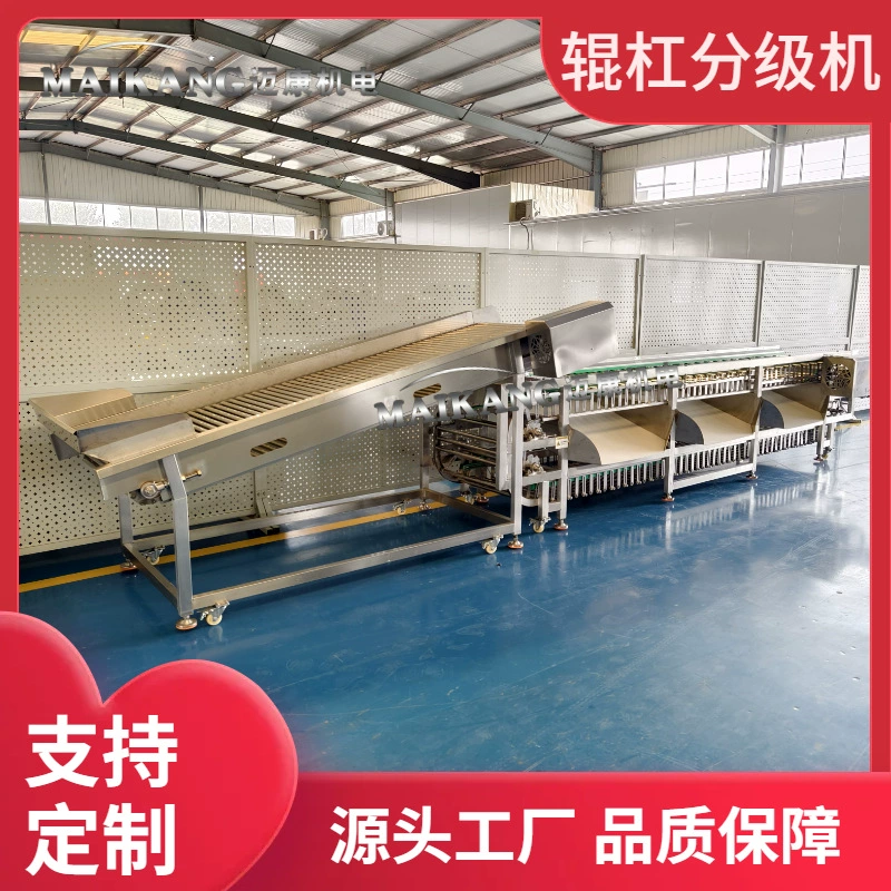 Производитель поставляет роликовый сортировщик для медового картофеля, коммерческое оборудование для сортировки фиолетового картофеля, непрерывный сортировщик картофеля по диаметру.