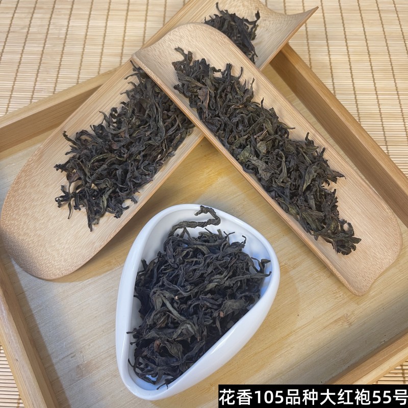 花香105品种大红袍55号