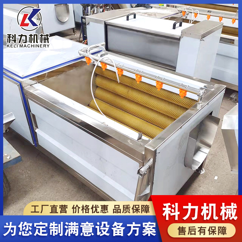 莲藕毛辊去皮机 花生去泥机 白萝卜自动喷淋清洗机