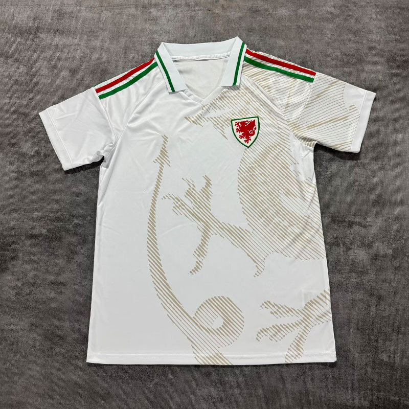 2026 wales away game / S