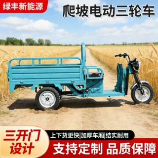 爬坡电动三轮车大功率农用果园山区拉货载货三轮车货运电动三轮车