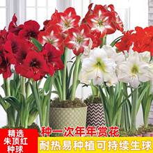 �M���ذ���피t�N���ļ����B�������҃������̨����ͥԺֲ�ﻨ��