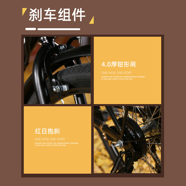 Retro bike for adults