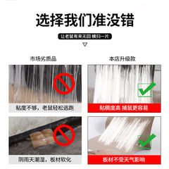 Glue Board Rat Killing Patches Glue Boards Wholesale New Anti-Rat Devices Mouse Traps Baiting Strong Glue Boards for Export