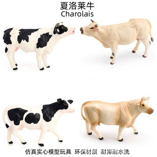 �羳����ţģ��ˮţ��ţĸţ�ߠ�ţ��ţ�����Rţ�������ţģ��