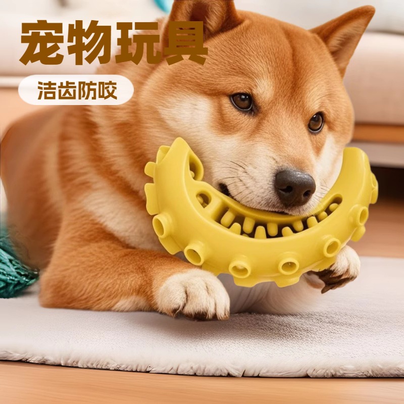 개 장난감 누설 TPR Frisbee Molar Bite 저항하는 애완 동물 장난감 훈련 치과 청소 자기 안심 개 장난감