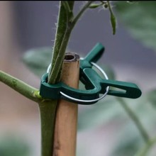 �@ˇ�̶��A���ɊA���ѷ���ֲ��A���ϊA�ӹ��߈@ˇ�����m�@�����b