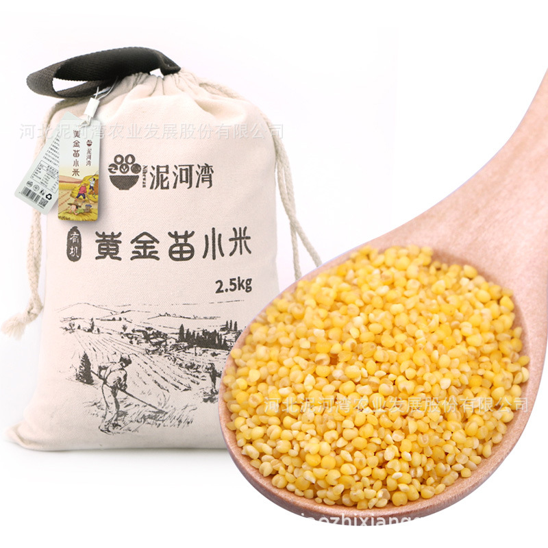 泥河湾 黄金苗小米5斤有机黄小米杂粮粥农家自种小米粥小黄米新米