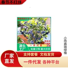 һ�����l�{ݮ������{ݮ�������Ե����{ݮ���Ϸ������Nֲ��W�᠖