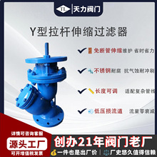 天力不锈钢法兰高压大流量工业主管道Y型拉杆伸缩过滤器滤网dn100