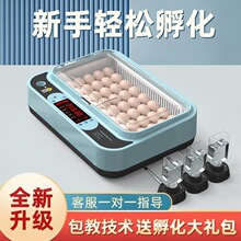 家用型全自动智能孵化器一键孵化鸡鸭鹅鸽孵化机批发外贸一件包邮