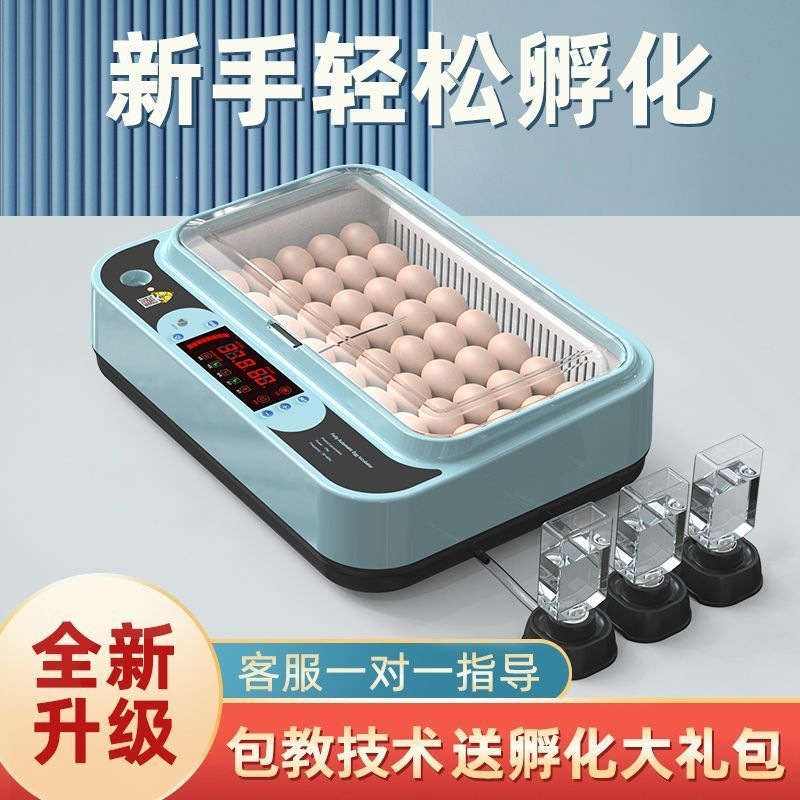 家用型全自动智能孵化器一键孵化鸡鸭鹅鸽孵化机批发外贸一件包邮