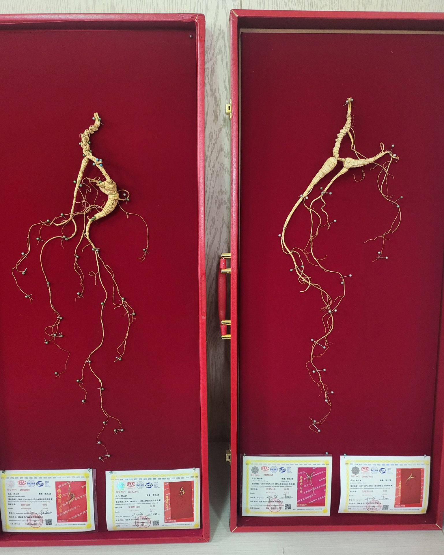 Wild Mountain Ginseng Gift Box Dried Root Slices 15 Years and Above for Soup and Decoction specifications