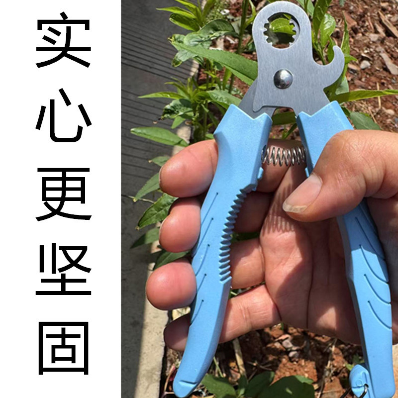 未命名_副本