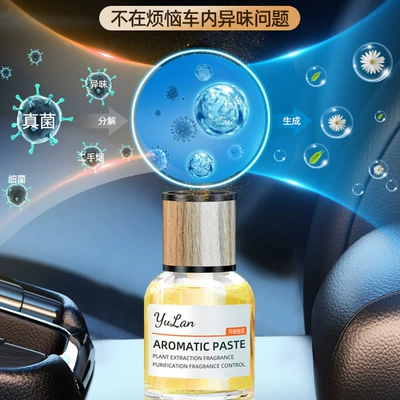 Liquid Car Interior Supplies — Perfplant seat