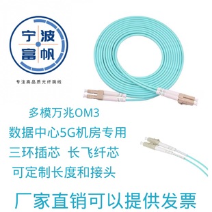 Optical Fiber Jumper Lc-Lc Multimode 10g Duplex Jumper Pigtail-Om3-Om4 10g Transmission