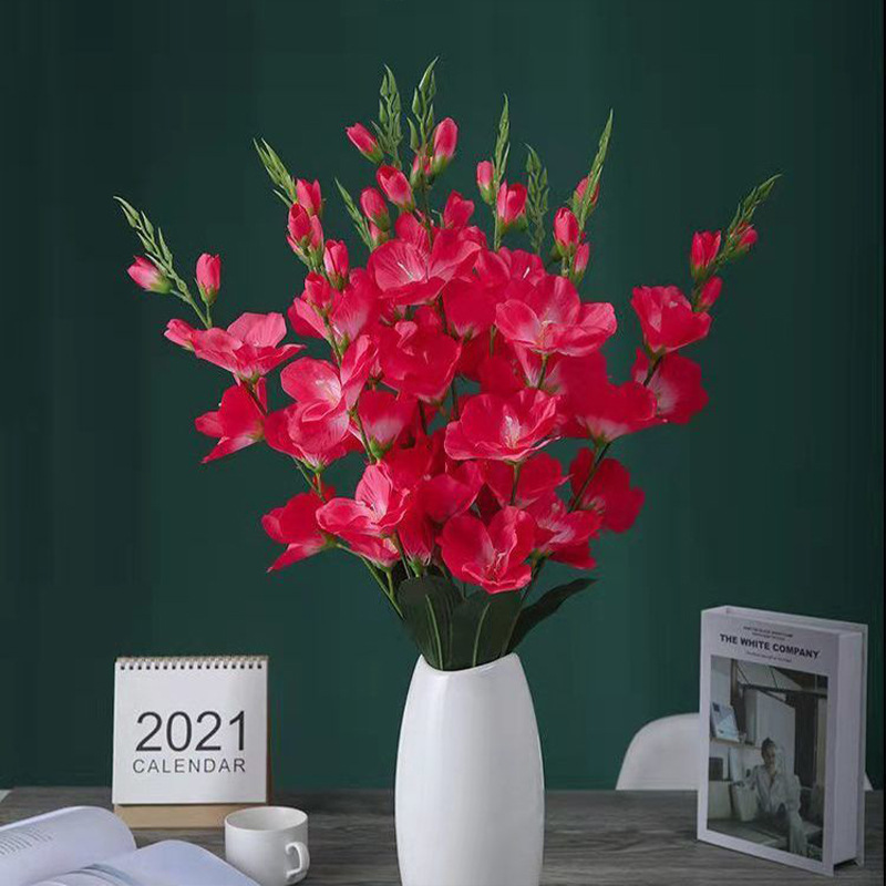 로즈 레드 1 지점 (분지 제외)