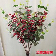 �羳�t���lؔ�����汱��������t�{���Ҿ��b[��������w������