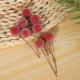 Artificial plant artificial flower accessories red fruit shooting props DIY bean branch Berry foam branch artificial foam Berry