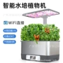 种植wifi家庭智能灯