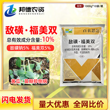 ���r˼�_ 10%�����c�����p�S������⧵��������[��ή������������