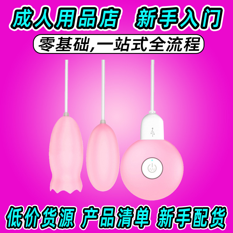 Huevo Vibrador Sexual Femenino de Silicona y ABS image 1