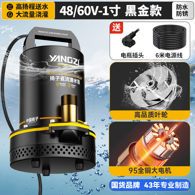 Yangzi bomba sumergible de corriente continua 12V48V72V bomba eléctrica de bombeo de agua de riego agrícola doméstico bomba de agua de alta potencia