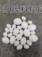 实心鸟假蛋替换蛋玉鸟虎皮丝雀文鸟牡丹鹦鹉替窝蛋支撑蛋鸟蛋