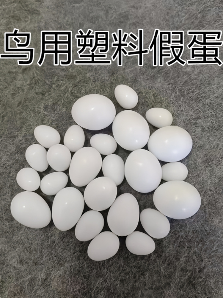 实心鸟假蛋替换蛋玉鸟虎皮丝雀文鸟牡丹鹦鹉替窝蛋支撑蛋鸟蛋