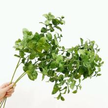  W߷Gɫֲﱡ~廨~ӿ͏d[b͏dzӰ