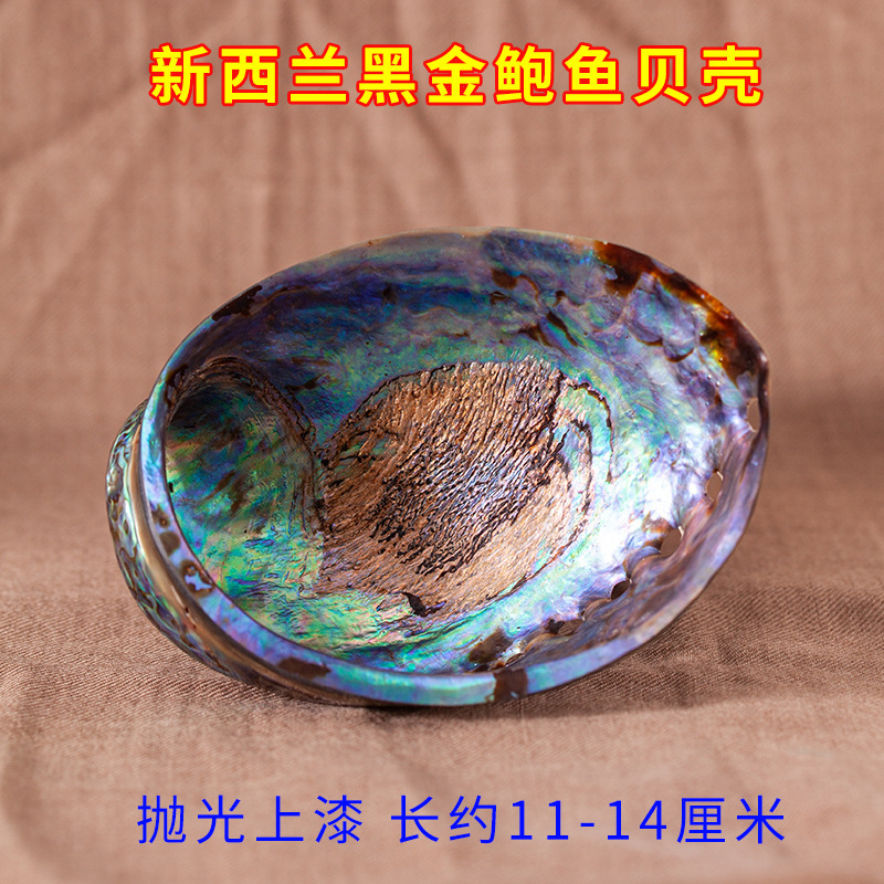 国境を越えた卸売り白鼠尾草青鼠尾草雪松杖聖木線香塔香アワビ殻などホワイトセージ|undefined