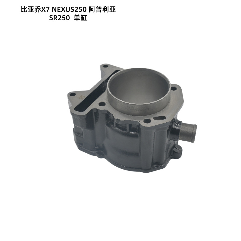 Piaggio Motorcycle Parts X7Nexus250 Aprilia Sr250 Efi Cylinder Liner Cylinder Block Cylinder Sleeve
