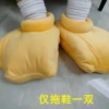 Yellow penguin paw